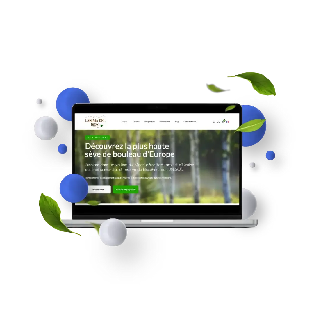 Lloc web eco-responsable Lloc web eco-responsable