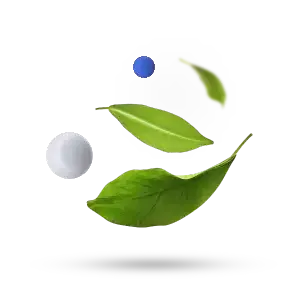 Un enfocament eco-responsable Un enfocament eco-responsable